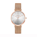 Customized Logo Grey Watch OEM Women's  Brand Watch Stainless Steel Material High grade fashion lady quartz Mesh Watch